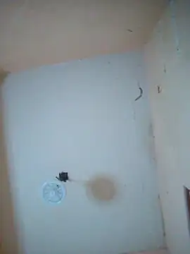 LuisMex1998 online show from 11-14-25, 02:21