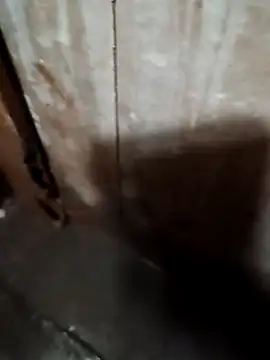 Snapshot of Raj41 chatting on 09-20-25, 01:39 Raj41 online show from 09-20-25, 01:39