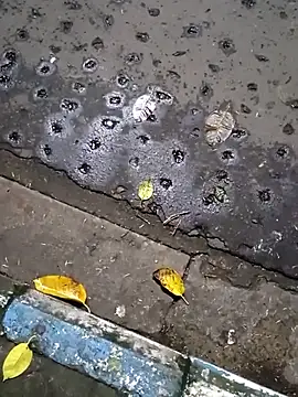 Snapshot of Raj41 chatting on 09-20-25, 01:45 Raj41 online show from 09-20-25, 01:45