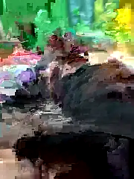 Raj41 online show from 02-14-26, 11:51