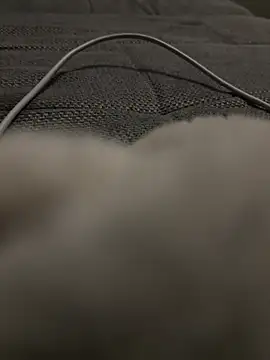 Snapshot of hengst2312 chatting on 01-20-25, 06:10 hengst2312 online show from 01-20-25, 06:10