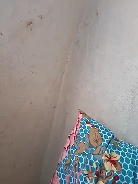 novinhatransexy online show from 11-19-25, 05:57