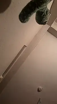 Snapshot of RaviRoy2326 chatting on 03-01-25, 08:10 RaviRoy2326 online show from 03-01-25, 08:10