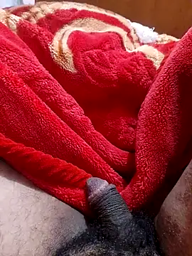 mhmia online show from 01-31-25, 04:17