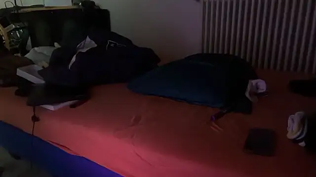 Damn bro23 online show from 04-17-26, 07:22