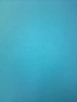 randit7 online show from 02-26-25, 09:10