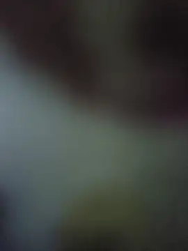 randit7 online show from 11-10-25, 04:22