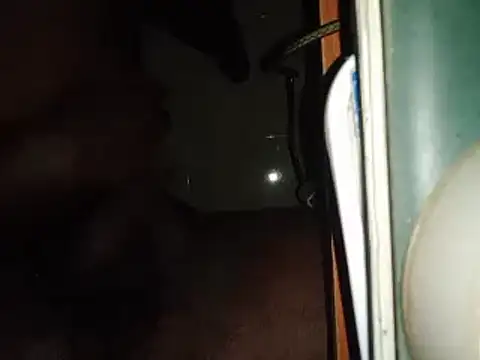 Snapshot of world_bigdick1 chatting on 02-14-25, 05:14 world bigdick1 online show from 02-14-25, 05:14