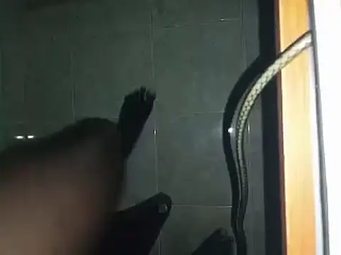 Snapshot of world_bigdick1 chatting on 03-02-25, 06:48 world bigdick1 online show from 03-02-25, 06:48