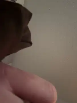 Snapshot of PhattPinxkTaco chatting on 03-13-25, 12:27 PhattPinxkTaco online show from 03-13-25, 12:27