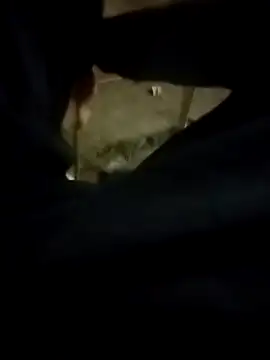 Snapshot of Playboy_bhabhi_00 chatting on 02-13-25, 02:42 Playboy bhabhi 00 online show from 02-13-25, 02:42