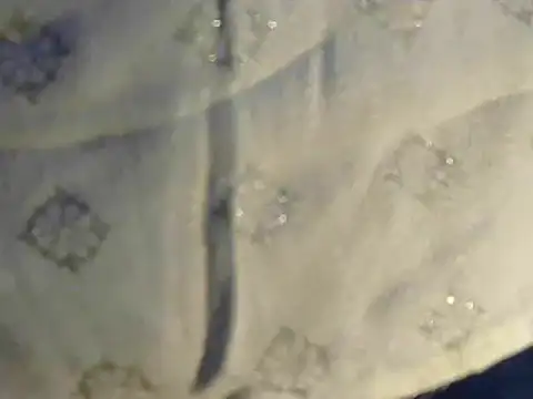 Cutie Pie1p online show from 03-19-25, 08:34