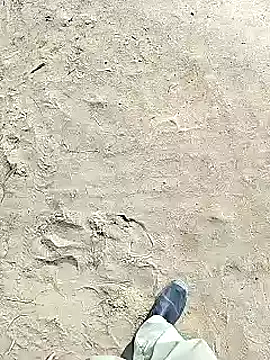 xmanrawan2 online show from 02-02-25, 06:37