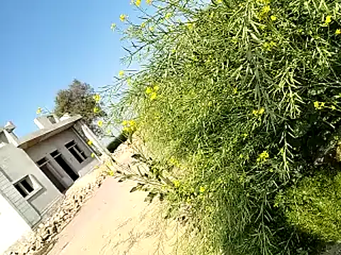 xmanrawan2 online show from 02-06-25, 06:29