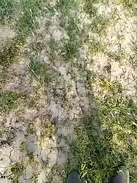 xmanrawan2 online show from 03-14-25, 11:34