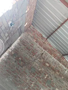 birds0641 online show from 10-24-25, 07:49