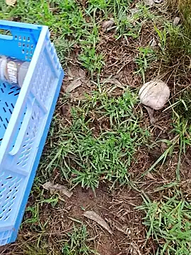 RichardHard 1 online show from 01-17-26, 09:07