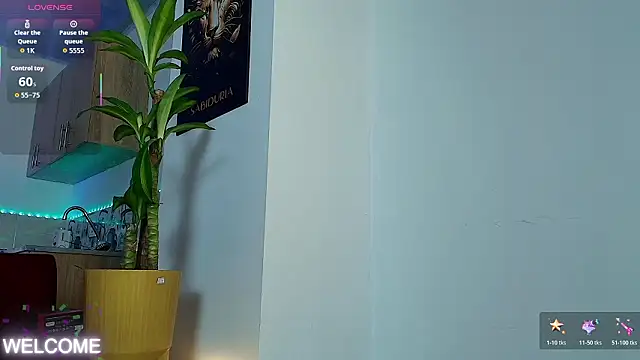 Dwayne Brown online show from 02-21-26, 01:01