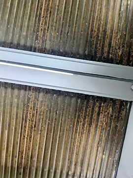 Nikki vega online show from 01-10-26, 08:21