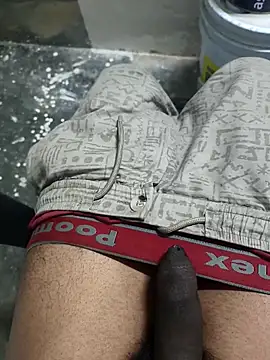 omni 333 online show from 02-04-26, 01:17