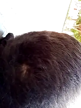 Snapshot of Elgroney23 chatting on 12-19-25, 04:58 Elgroney23 online show from 12-19-25, 04:58