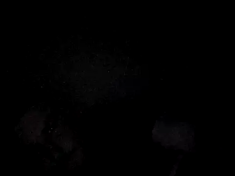 Foxtrott 242 online show from 09-08-25, 11:48