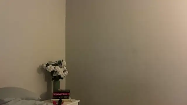 skyejde online show from 11-28-25, 04:31