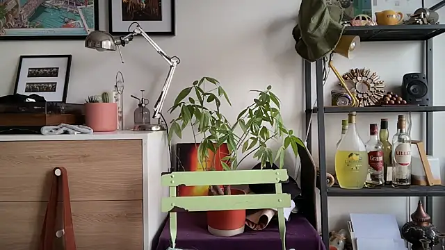 MikymikeBBWD online show from 11-12-25, 11:43