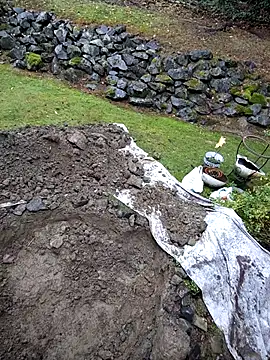 KingSlim56 online show from 11-15-25, 08:16