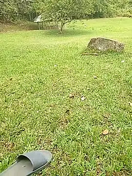 Mycansonhot online show from 10-23-25, 04:50