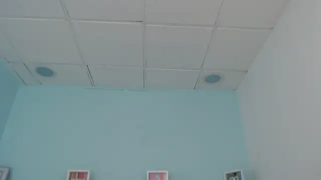 Snapshot of Sunshine_gh1 chatting on 05-25-26, 11:27 Sunshine gh1 online show from 05-25-26, 11:27