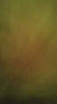 Snapshot of Sexlove1xo chatting on 03-09-25, 07:59 Sexlove1xo online show from 03-09-25, 07:59