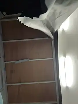 Anson0722 online show from 11-29-25, 02:53