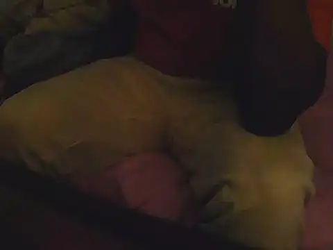 Snapshot of Fuckmehardandcloudy chatting on 03-21-26, 08:45 Fuckmehardandcloudy online show from 03-21-26, 08:45