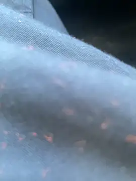 daniel21p online show from 02-22-25, 03:25