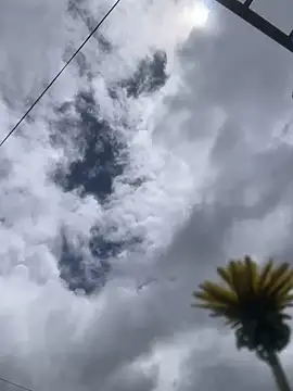 MaxxxSteil online show from 11-12-25, 03:56