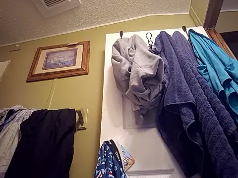 Seductivefoxyxh online show from 12-01-25, 08:36