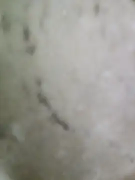 pussyfatasss online show from 09-27-25, 05:23