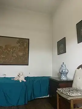 KititA12 online show from 02-22-26, 05:08