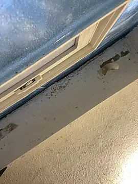 Snapshot of YODAPESOS chatting on 02-23-26, 12:57 YODAPESOS online show from 02-23-26, 12:57