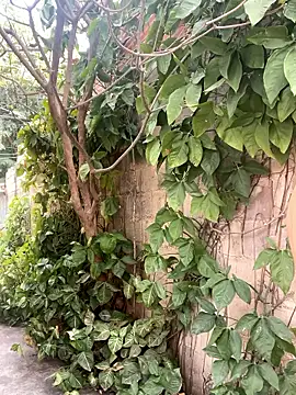 twinks 28 online show from 01-14-26, 08:36