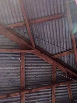 Ladyzee25 online show from 11-26-25, 09:05