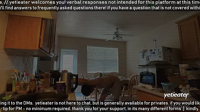 yetieater online show from 03-05-26, 02:35