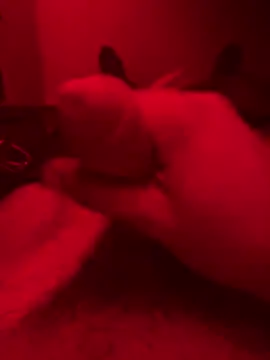 Snapshot of ruchacz24 chatting on 10-14-25, 01:50 ruchacz24 online show from 10-14-25, 01:50