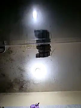 Pipilokito online show from 12-20-25, 07:54