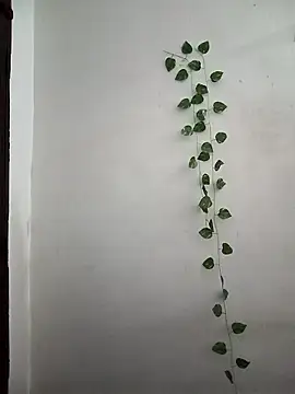 Neha-Bhabhi-Rasily online show from 03-24-26, 03:55