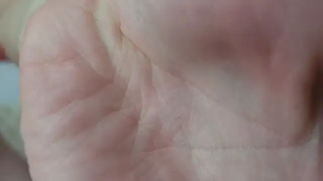 Snapshot of Qwerty588589 chatting on 09-13-25, 09:42 Qwerty588589 online show from 09-13-25, 09:42