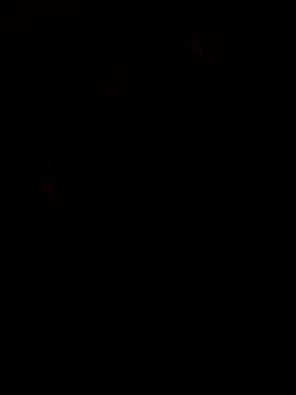 viviksmel online show from 10-25-25, 11:51