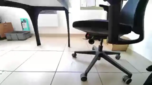 GM51-1988 online show from 04-20-26, 04:10