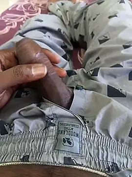 Snapshot of Tn_localboy69 chatting on 09-29-25, 02:16 Tn localboy69 online show from 09-29-25, 02:16